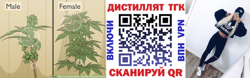 kraken зеркало  Чебаркуль  Дистиллят ТГК вейп с тгк 