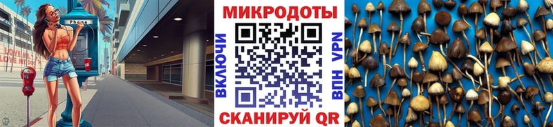 Псилоцибиновые грибы Cubensis Чебаркуль